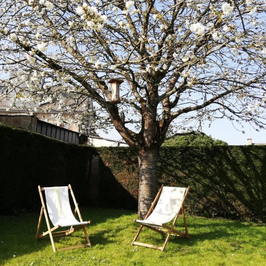 Homestay Entre En Baie ! *